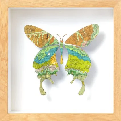 絵画 butterfly Butterflies - Shibata Zeshin - Pintura japonesa - Cuadros Famosos