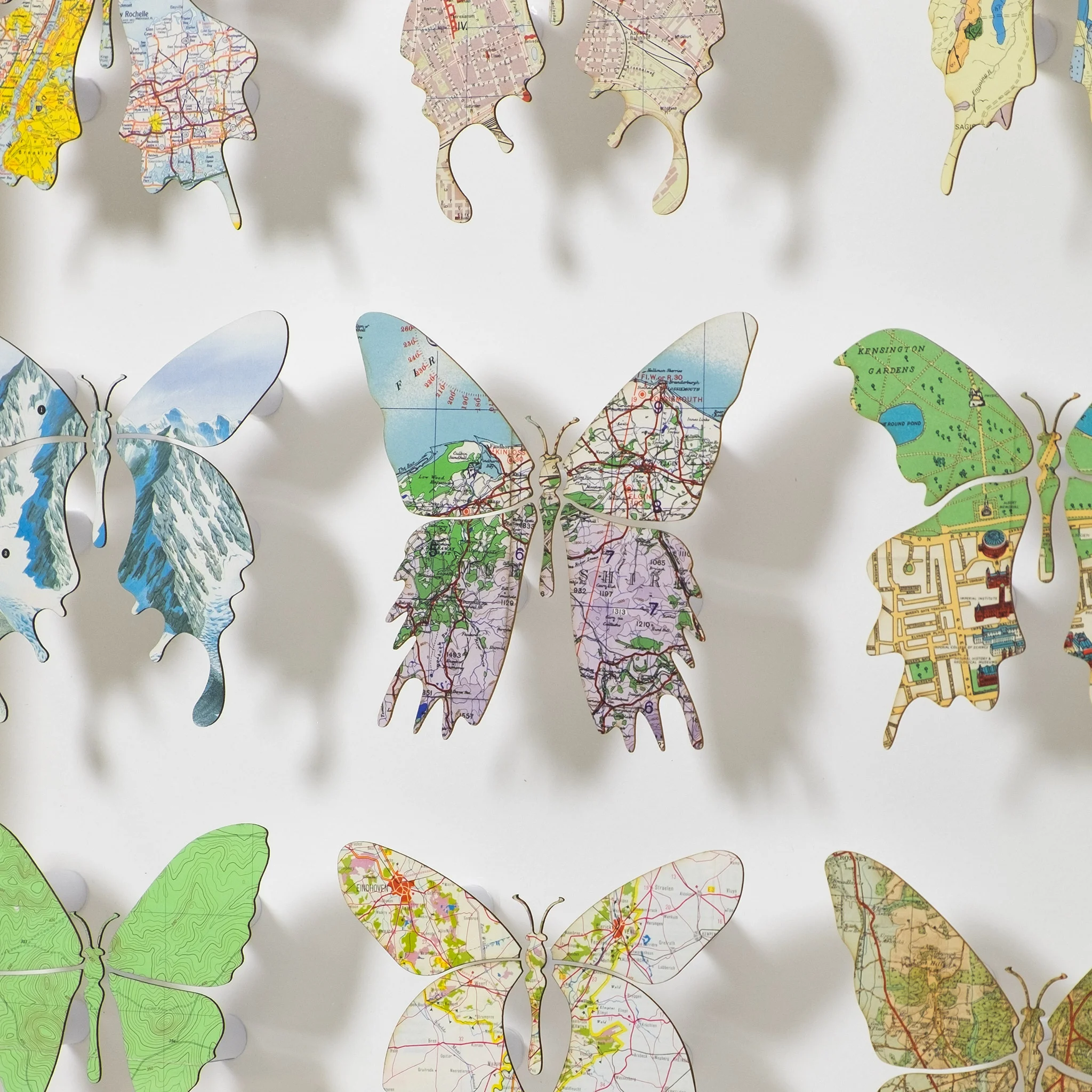 Twenty Butterfly Artwork Nº64 - imagesurgery